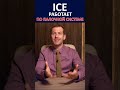 ПАЛОЧНАЯ СИСТЕМА ICE: КАК АРЕСТЫ ИММИГРАНТОВ ПОСТАВИЛИ НА ПОТОК