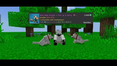 More Body Actions  Pick up & Carry Addon Minecraft Pe 1.21.40+