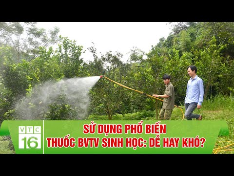 Video: Thuốc bảo vệ thực vật sinh học: chủng loại và phương pháp