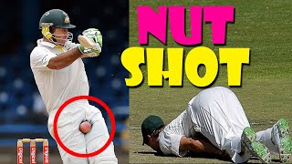 Nut Shots in Cricket - Cricket Ballbusting and Nutshot OH NO! 2021 by FailTuber 8,777 views 3 years ago 4 minutes, 34 seconds