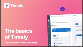 The Basics of Timely screenshot 5