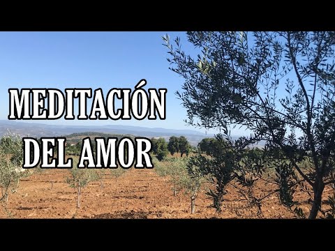 meditacion