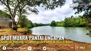 Spot Mancing Di Muara Pantai Bajulmati #Lokasi Diesel 1