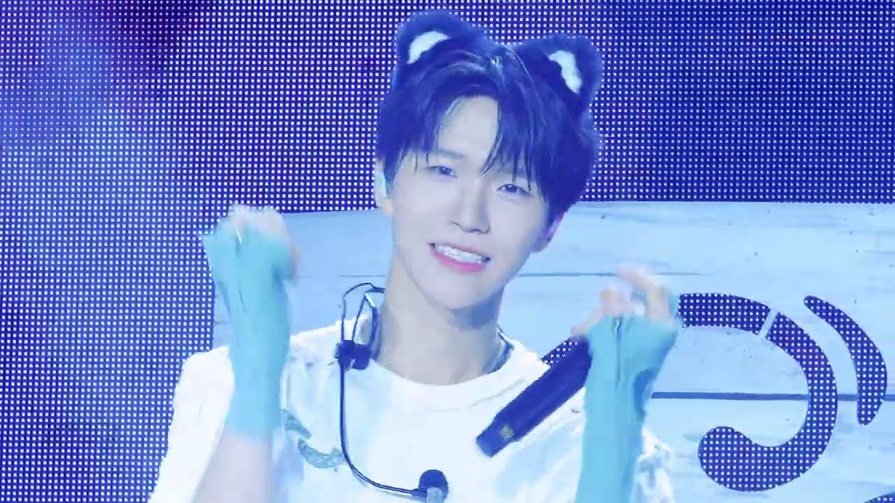 [4K] NCT WISH - 고양이 릴스 Reel-ationship 재희 ver. | COLOR PALETTE