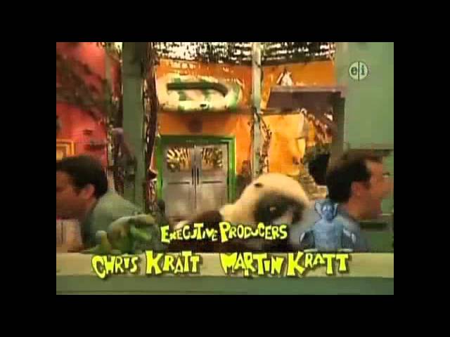 lemur famous from pbs show zoboomafoo dies kfor com