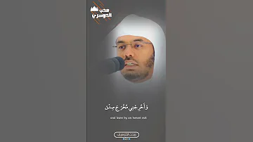 وقل رب أدخلني مدخل صدق وأخرجني مخرج صدق واجعل لي من لدنك سلطانا نصيرا ياسر الدوسري 