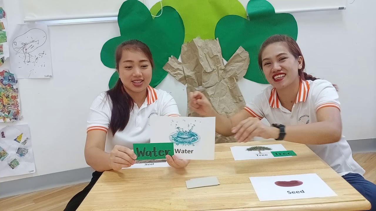 Week 2 Day 4 activity - YouTube