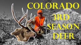 Colorado Public Land Mule Deer Hunt  Solo  DIY