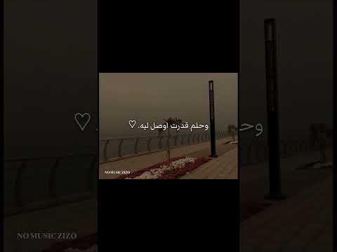 حبيبتي و ع مري و أميرتي اكسبلور بدون موسيقى  حلات  ترند حب لايك