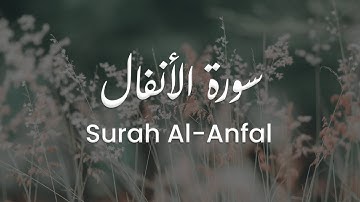 سورة الأنفال للشيخ علي البراق | المصحف المرتل