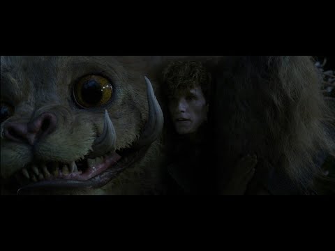 Fantastic Beasts 2 (2018) : The Crimes of Grindelwald 神奇动物 ：格林德沃之罪