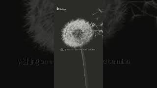 Dendalions- Ruth B .   wishing on every one that you will be mine . #ruthb #lyric