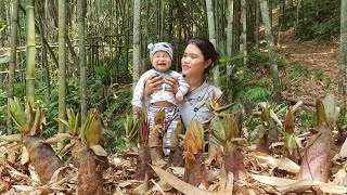 Single girl: Harvest Bamboo shoots - Long term preservation, Implementation process | Trieu Thi Thuy