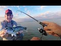 This was an epic session  coastal lure fishing  bass lure fishing