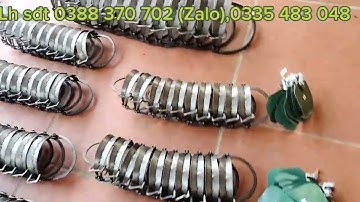 mẫu cạm kiềng, đánh chuột, chồn, cầy, cáo mèo, bạc má, lợn rừng,#