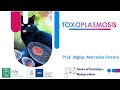 TOXOPLASMOSIS. Parte-1