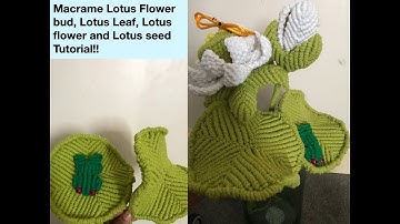 Macrame Lotus flower bud, Lotus Leaf, Lotus Seed Tutorial!!