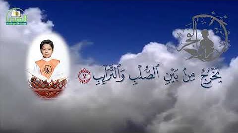 سورة الطارق الحافظ مبارك محمد أحمد آل مبارك