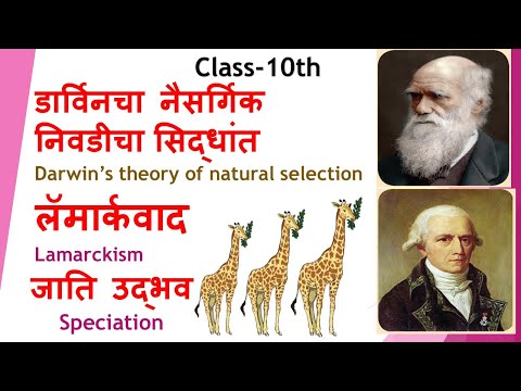 Darwin&rsquo;s Theory Of Natural Selection | डार्विनचा नैसर्गिक निवडीचा सिद्धांत |लॅमार्कवाद Lamarckism