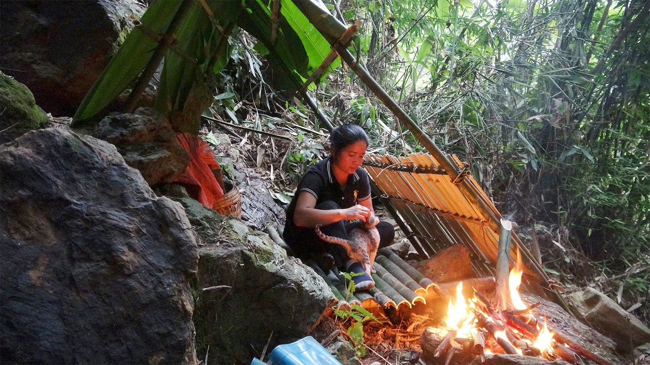 Homeless girl survives alone in the rainforest with the kitten she ...