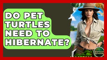 Do Pet Turtles Need To Hibernate? - Reptilian Wonders