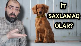 İt Saxlamağın Hökmü Nədir?