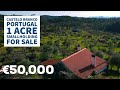 (SOLD) 1 Acre Farm For Sale | Castelo Branco, Central Portugal | Virtual Property Tour ❤🌞