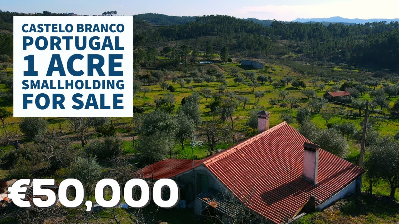 (SOLD) 1 Acre Farm For Sale | Castelo Branco, Central Portugal | Virtual Property Tour ❤🌞