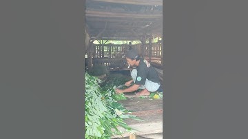 A simple, easy-to-use smart tool for chopping freshly harvested grass #shorts