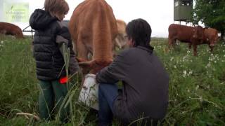 Verborgener Winkel - Ihr Biohof Stier in Hohebach in Baden-Württemberg