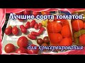 Лучшие сорта томатов для консервирования.