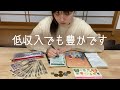 【低収入でも豊かです】2月の月収を公開します。/やりたいことを仕事に/保険や年金について