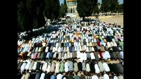 سورة الحجرات _ محمد آل عاطف ..رائع