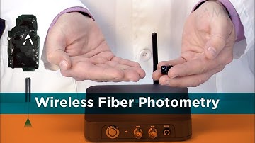 Telefipho Wireless Fiber Photometry