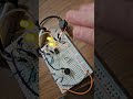 Opamp with condenser mic (better demo)