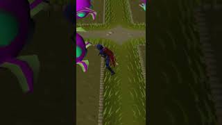 Why Did Jagex Even Add These?