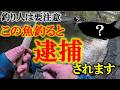 近所に釣りに行ったらヤバイ巨大魚を発見