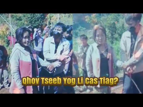 Video: Cov roj zoo tshaj plaws hauv khw yog dab tsi?