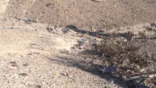 Shooting in the desert