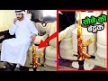 दुबई के राजा ऐसे उड़ाते है अपनी करोडो की दौलत | How Dubai Royals Spend Their Billions
