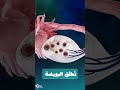 ماذا يحدث فعلي ا خلال دورة الحيض لدى المرأة