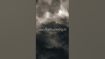 قران كريم #محمد الحيدان#راحة_نفسية #quran #سورة الرعد