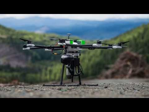 Tree-Planting Drones to Start Forest in Myanmar | greenversal