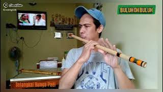 Setangkai Bunga Padi - short video  tes suling B baru jadi