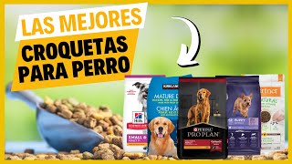 Las Mejores Croquetas para Perro en MÉXICO 2024 / Calidad  Precio