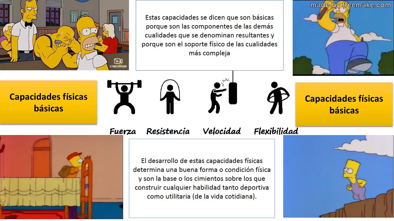 Perguntas E Respostas Sobre Capacidades Físicas capacidades fisicas - YouTube
