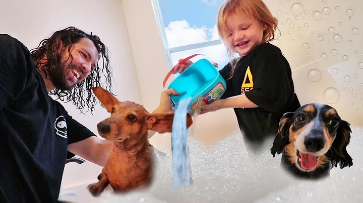 MY DOGS MORNING ROUTINE!! making a Pet Swimming Po...