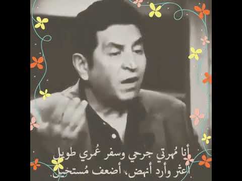 كلمات حلوات