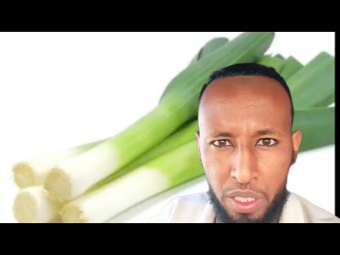 Ustaz Sa Ad Aliyyi Dhibdee Dhukubaa Kintarot Dhukubaa Sagara Iraa Dhufuu 24 Nov 2025