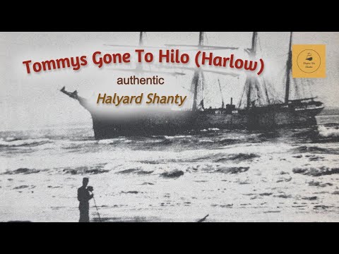 Tommys Gone To Hilo (Harlow) - Halyard Shanty